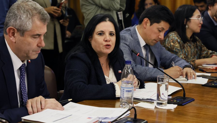 Ministra Steinert justifica en la Cámara solicitud de información a la PDI: "Lo que estoy haciendo es ejercer mis facultades"