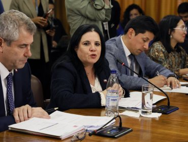 Ministra Steinert justifica en la Cámara solicitud de información a la PDI: "Lo que estoy haciendo es ejercer mis facultades"