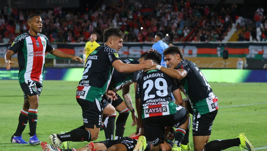 Palestino jugará de local en la Copa Sudamericana en el estadio Municipal de La Cisterna
