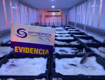 Sernapesca incauta más de 4 toneladas de merluza y canque en fiscalización en Llay Llay