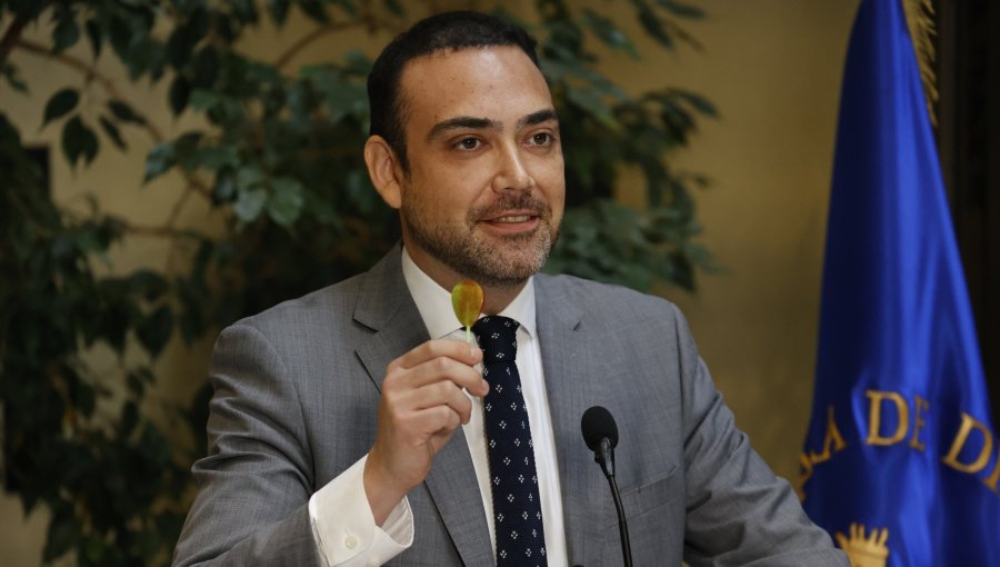 Senador Bianchi renuncia al beneficio de bencina del Congreso Nacional: "No tengo cara"