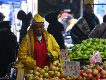 Alerta en las ferias libres: combustibles disparan precios y alimentos podrían subir hasta un 50%