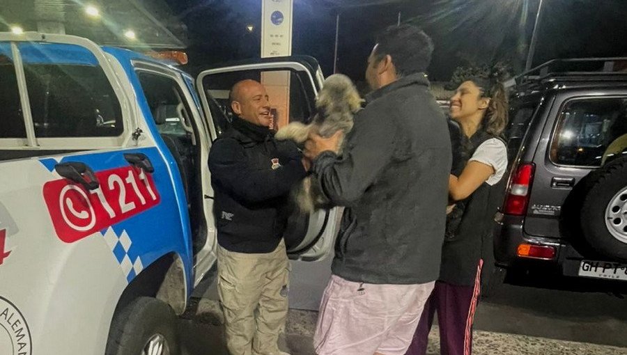 Recuperan perros que estaban siendo vendidos en plena vía pública de Villa Alemana