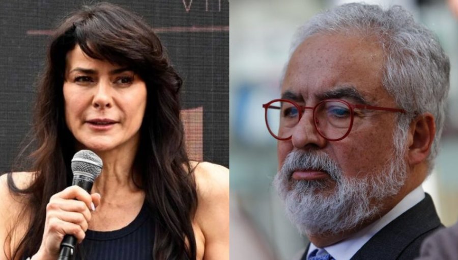 Tonka Tomicic y los $40 millones a Hermosilla: “No soy yo la responsable”