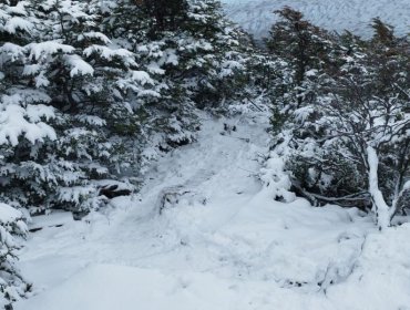 Conaf decreta el término anticipado de temporada en circuito de Torres del Paine