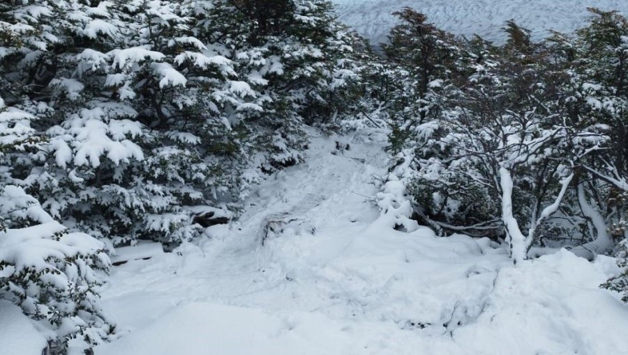 Conaf decreta el término anticipado de temporada en circuito de Torres del Paine