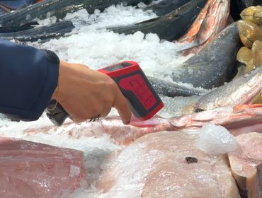 Mito vs Realidad: Refuerzan recomendaciones para el consumo seguro de pescados y mariscos durante Semana Santa en Valparaíso