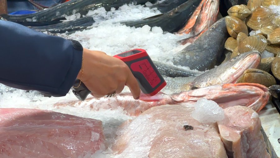 Mito vs Realidad: Refuerzan recomendaciones para el consumo seguro de pescados y mariscos durante Semana Santa en Valparaíso