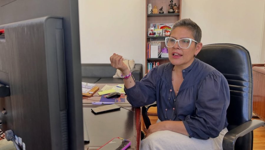 "Pido sinceramente recapacitar": Critican decisión del Gobierno de remover a directora de SernamEG en pleno tratamiento por cáncer