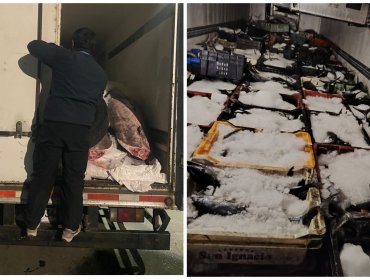 Operativo de fiscalización entre Valparaíso y Santiago permite incautar más de 3 toneladas de recursos marítimos