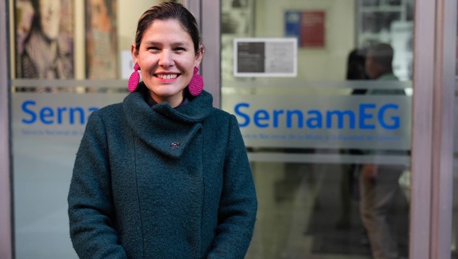 Gobierno pausaría salida de directora del SernamEG por licencia médica retroactiva