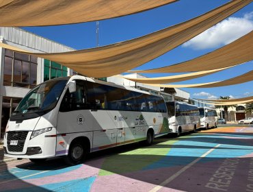 Municipio de La Cruz dispone de bus gratuito para trasladar a estudiantes de educación superior hacia Viña y Valparaíso