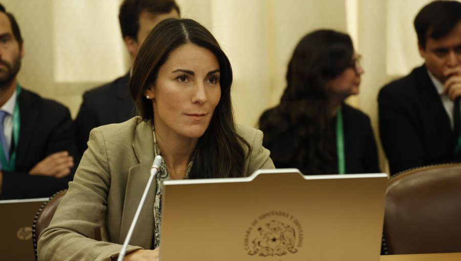 Ministerio de Educación trabaja en un reglamento que permita agilizar la instalación de pórticos en colegios