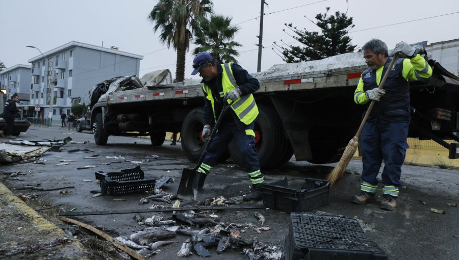 Grave accidente en Valparaíso: camión cargado con pescados volcó en el ingreso a Av. Argentina y provocó un verdadero caos vial
