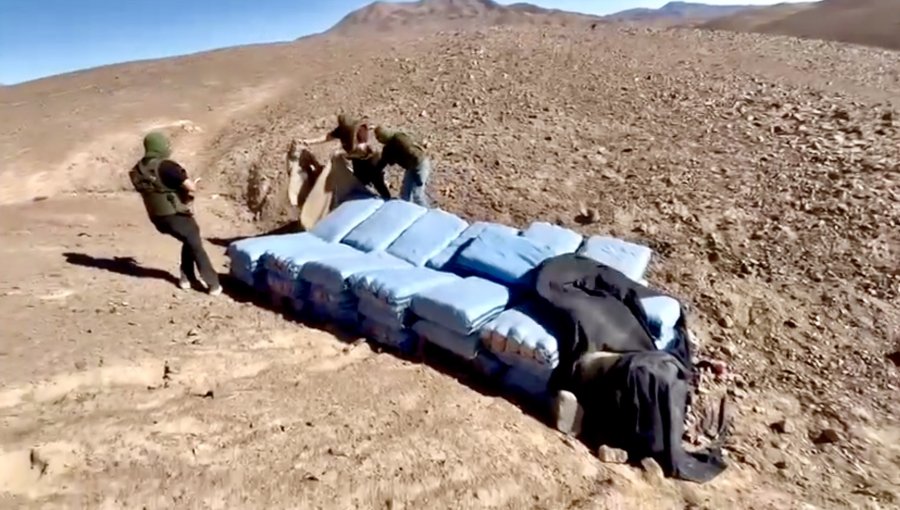 Incautan más de una tonelada de marihuana que estaba oculta en el desierto