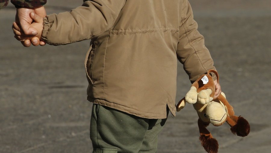 Desarrollo Social reingresa el reglamento de adopción a Contraloría afirmando que "se estimó pertinente realizar una revisión"