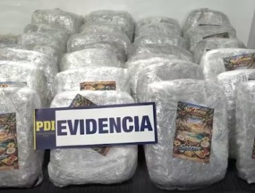 Desarticulan banda criminal en Renca: Incautan 70 kilos de droga y detienen a seis personas