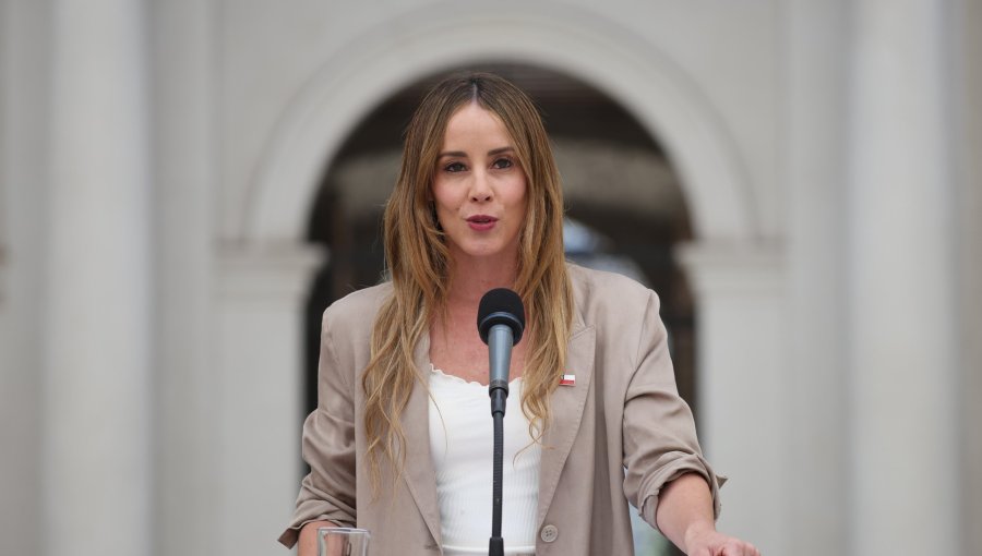 Ministra Sedini corrige error en sus dichos y afirma que Apablaza “no está condenado, sino acusado”