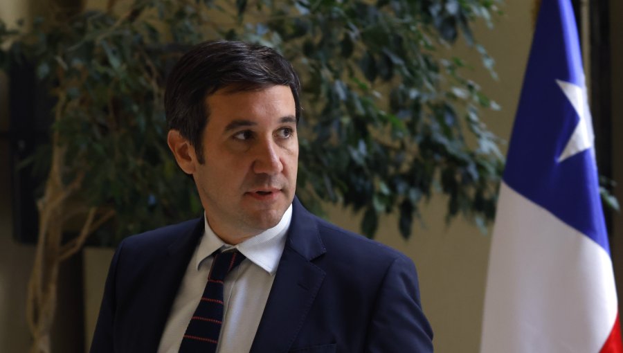 Presidente de la UDI no descarta viajar a Argentina con Kast para abordar situación de Galvarino Apablaza