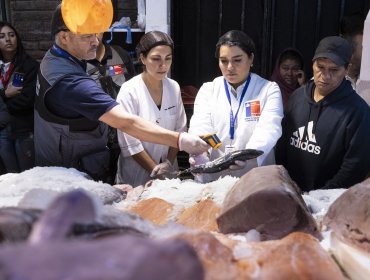 Fiscalizan locales del Mercado Central de Santiago y entregan recomendaciones por Semana Santa