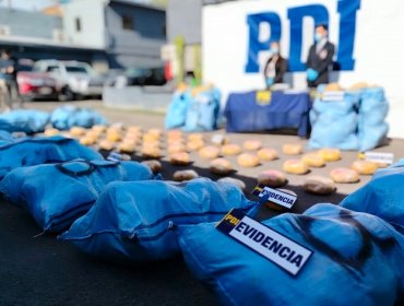 Incautan 861 kilos de marihuana en dos camionetas con encargo por robo en El Loa