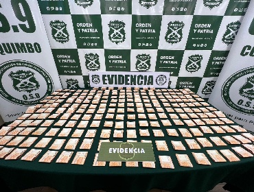 Coquimbo: Detienen a niñera por robo de $30 millones que ocultó enterrándolos