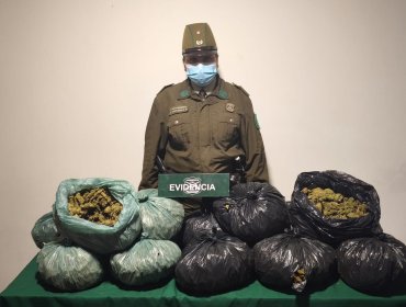 Dos conductores detenidos por tráfico de drogas en rutas de Zapallar y La Ligua