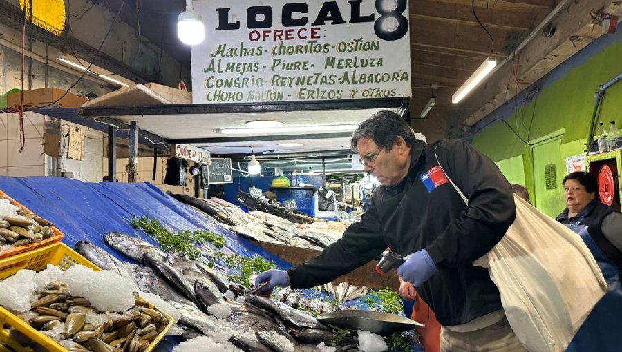 2,6 toneladas de productos del mar en mal estado fueron decomisadas durante el fin de semana largo en la región de Valparaíso