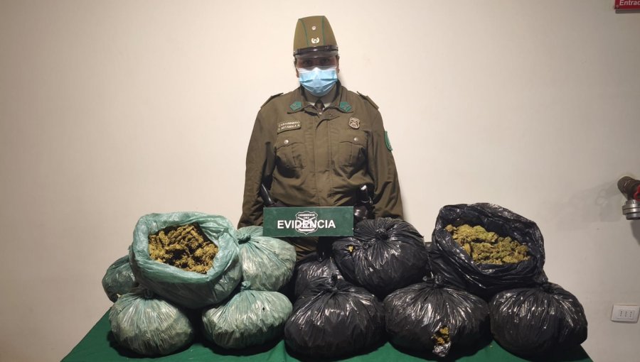 Dos conductores detenidos por tráfico de drogas en rutas de Zapallar y La Ligua