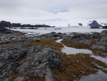 Científicos universitarios investigarán el impacto de la contaminación lumínica y el calentamiento global en la Antártica