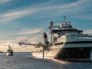 Choque en la Antártica desata la “Guerra del Kril”: activistas embisten buque noruego y tensionan rol de la Armada