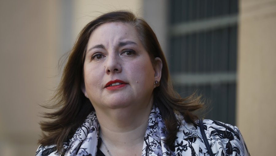 Presidenta del PS critica a diputado Romero por dichos sobre "guarenes en los cajones": "Devela una mirada estrecha y pobre"