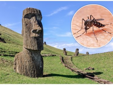 Senapred mantiene Alerta Amarilla por brote de dengue en Rapa Nui: 18 casos confirmados