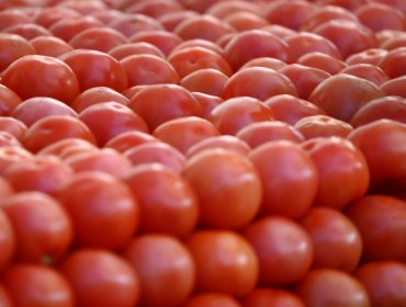 Alza de combustibles comienza a impactar precios de frutas y verduras en feria de Viña: advierten fuerte incremento en los tomates