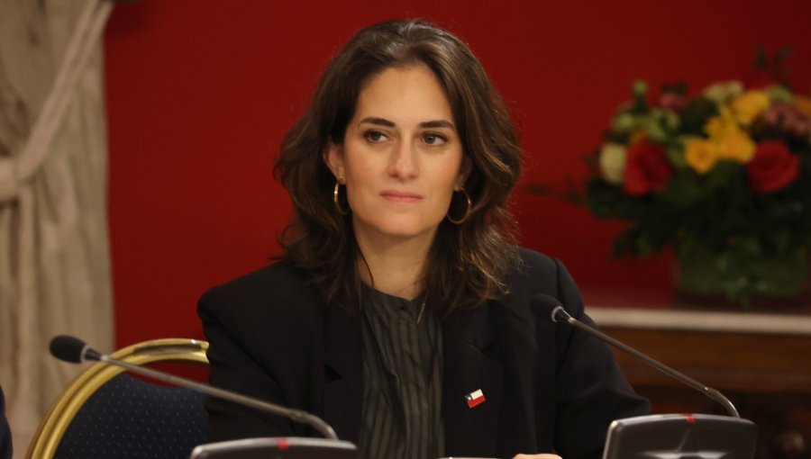 Ministra de Desarrollo Social defiende proyectos de seguridad escolar y apunta a causas sociales de la violencia