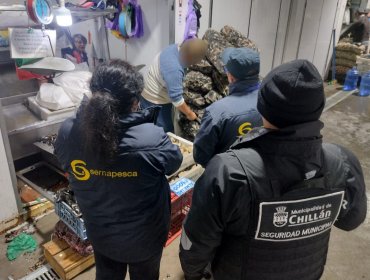 84 toneladas comercializadas de productos del mar ilegales fueron incautadas en operativos especiales de Semana Santa