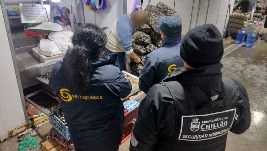 84 toneladas comercializadas de productos del mar ilegales fueron incautadas en operativos especiales de Semana Santa