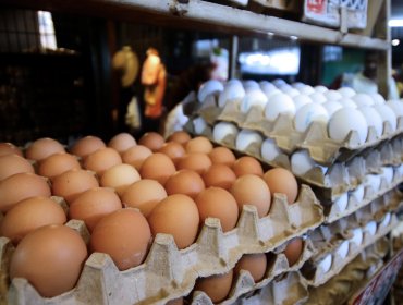Alza en el precio de los huevos golpea el bolsillo en Viña del Mar: bandeja de 30 llega a los $11 mil en su categoría más alta