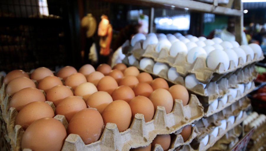 Alza en el precio de los huevos golpea el bolsillo en Viña del Mar: bandeja de 30 llega a los $11 mil en su categoría más alta