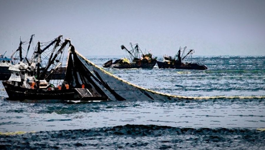 Gobierno retira nueva ley de pesca y apuesta por reformas acotadas en medio de fuerte división política