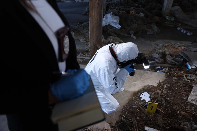 Fatal ataque en Chillán: Niña pierde la vida tras ser mordida por perros