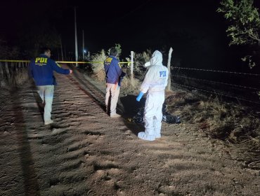 Sangrienta madrugada en Quintero: hombre fue asesinado en violento ataque con arma cortopunzante en Valle Alegre