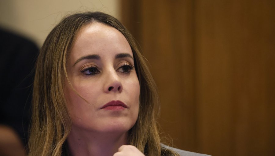 Sedini dice que "vamos a responder en tiempo y forma" ante requerimiento en Contraloría por almuerzo de Kast en La Moneda