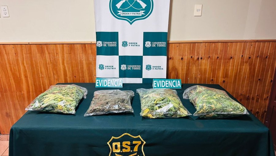 Decretan prisión preventiva para madre e hijo por tráfico ilícito de drogas en Pemuco