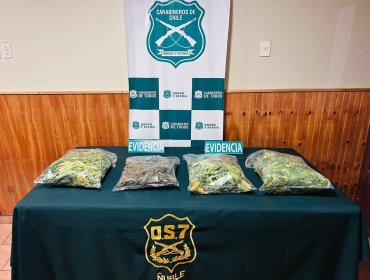 Decretan prisión preventiva para madre e hijo por tráfico ilícito de drogas en Pemuco