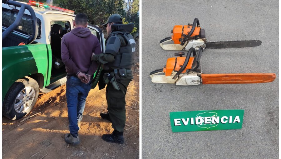 Detienen a tres hombres por robo de madera al interior de un predio en Valparaíso
