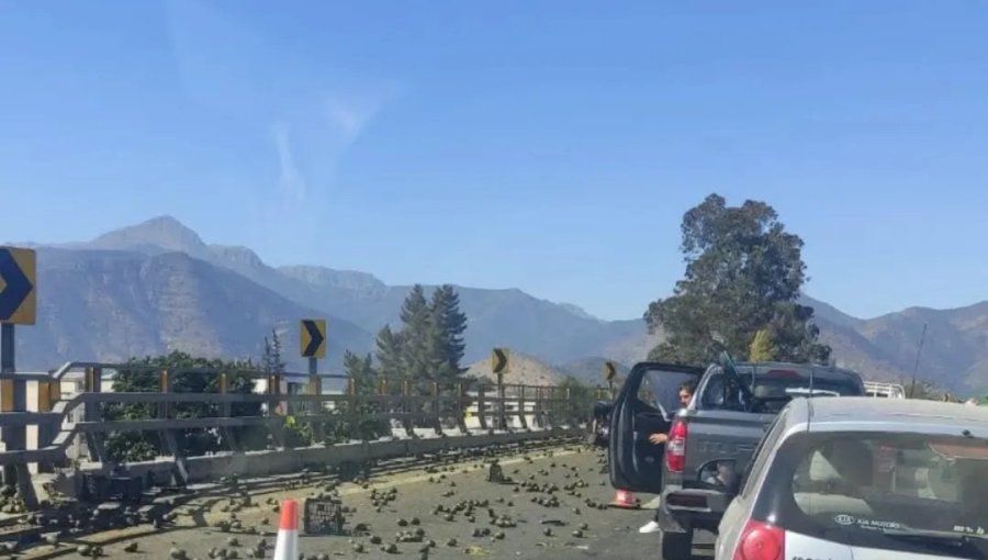 Camión que transportaba paltas volcó en la autopista Los Andes en La Calera: carga quedó esparcida en la ruta