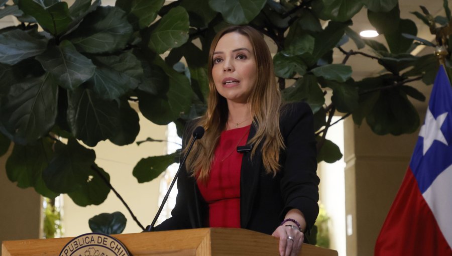 Senadora Flores ante investigación por presunto fraude al fisco niega "total y absolutamente los hechos"