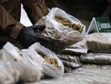 Desarticulan organización criminal dedicada al tráfico de droga: Nueve detenidos y más de 270 kilos de droga incautada