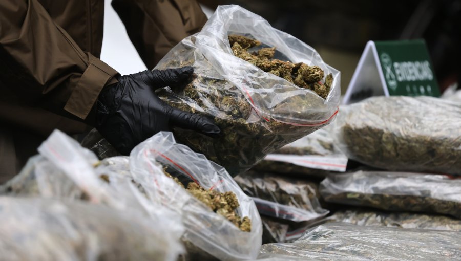 Desarticulan organización criminal dedicada al tráfico de droga: Nueve detenidos y más de 270 kilos de droga incautada